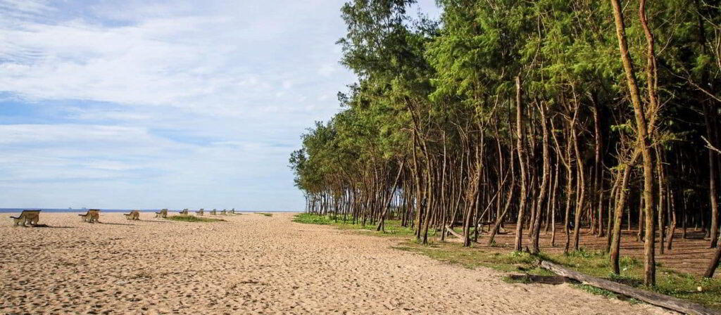 Beaches in Mangalore