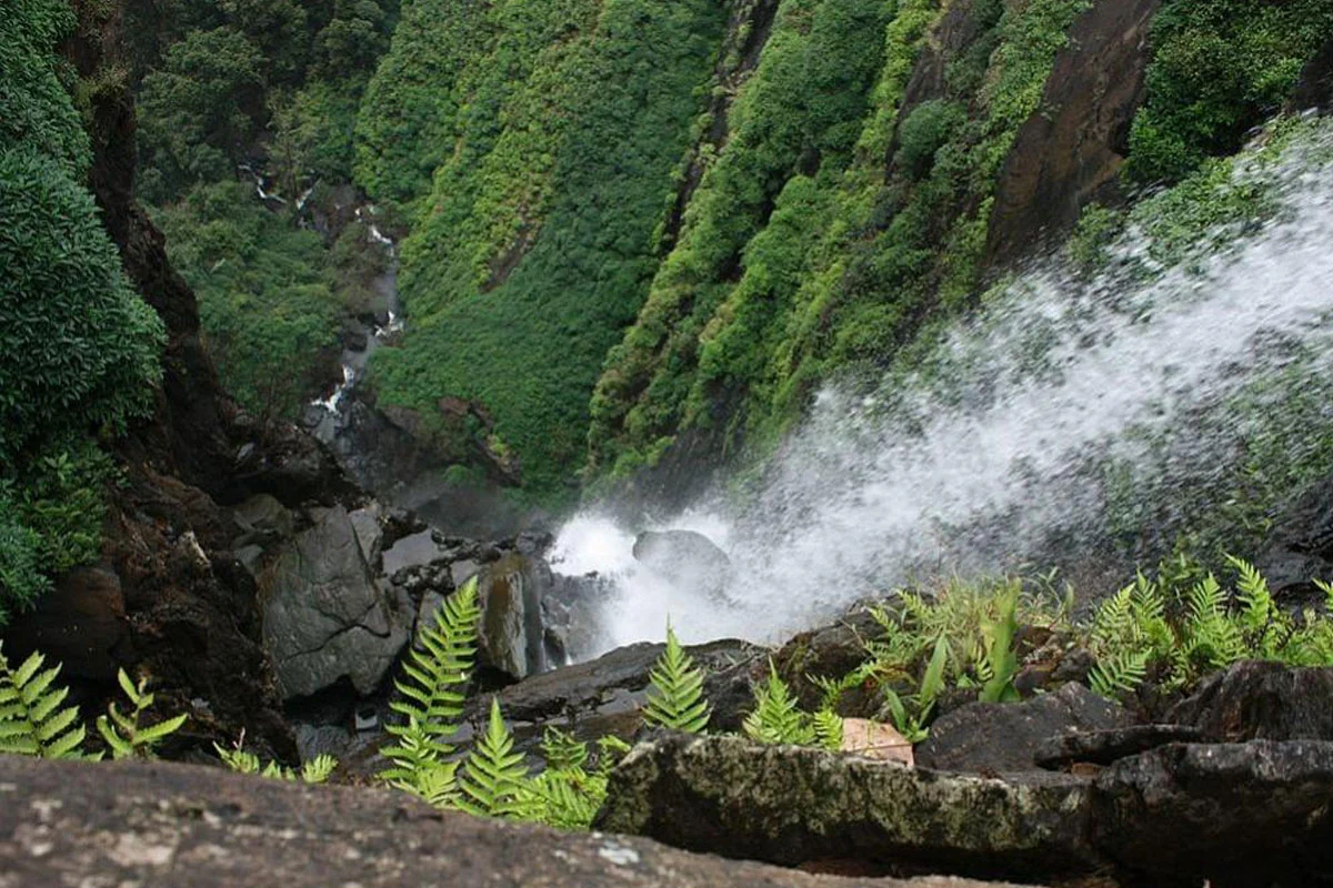 Trekking in Agumbe