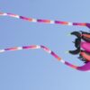 Kite festival in mangalore